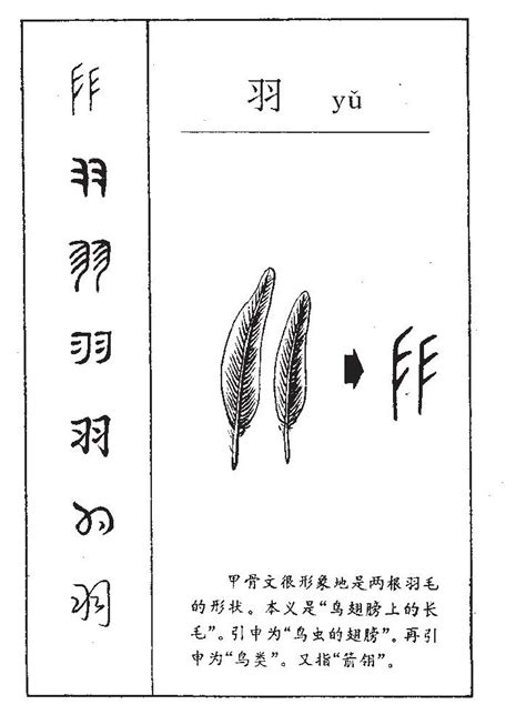 羽字旁的字